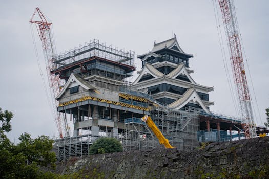 pexels-photo-10017733